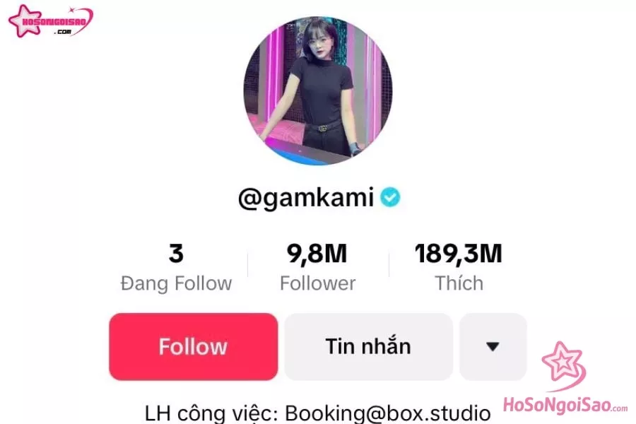 Gấm Kami sở hữu lượt follow và lượt thích "khủng" trên TikTok