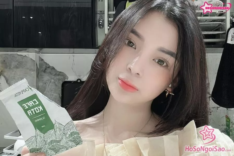 Sự nghiệp của Phạm Ngọc Linh