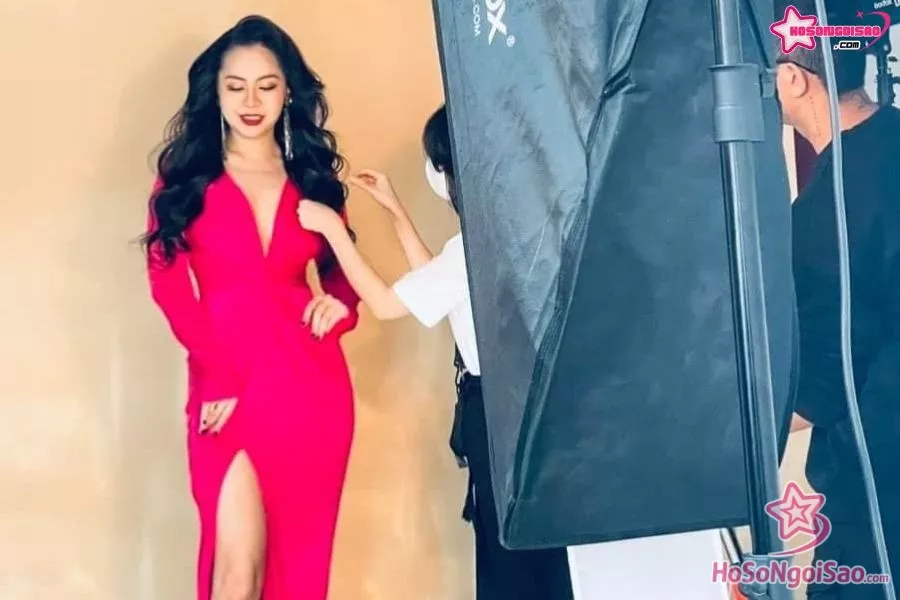 Sự nghiệp của Vũ Hạnh Nguyên