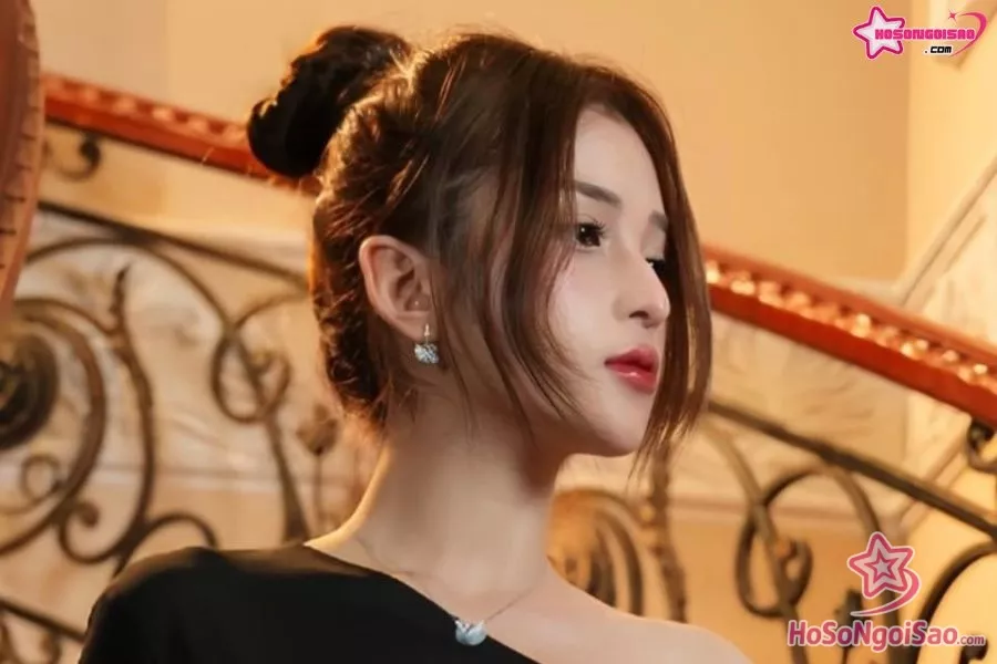 Sự nghiệp của Minah Phạm