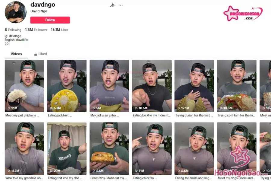 David Ngo sở hữu kênh Tiktok 1,8 triệu người theo dõi