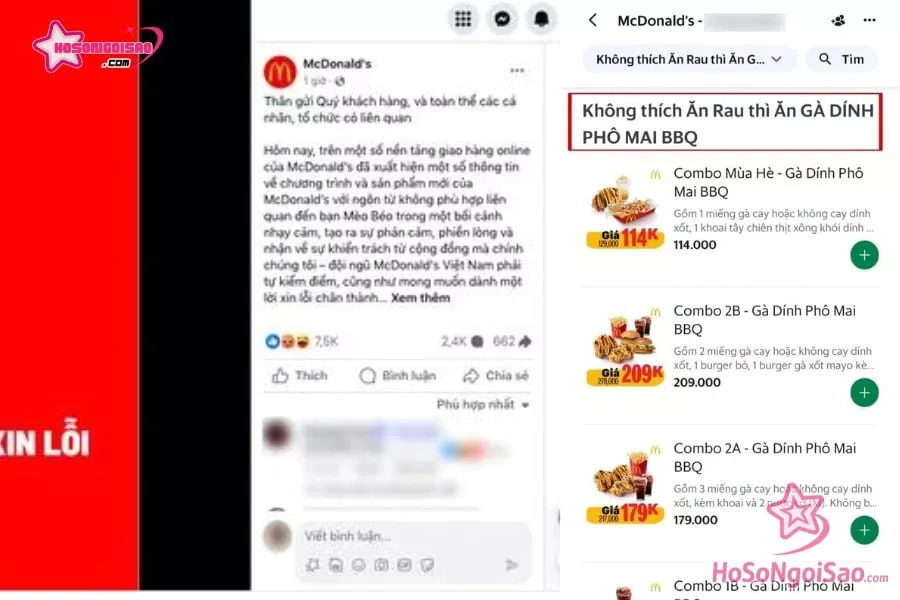 Ở Việt Nam, một thương hiệu đồ ăn nhanh cũng bị chỉ trích vì đặt tên cho một combo trong cửa hàng trên ảnh đại diện và câu chuyện của Mèo Béo