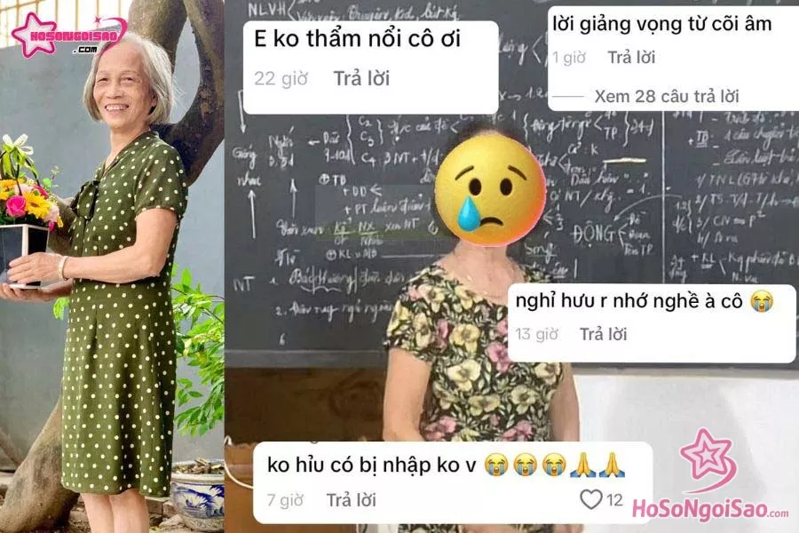 cô Ngô Thúy Trình bị xúc phạm trên mạng xã hội