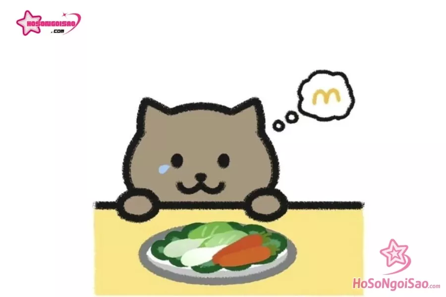Mèo Béo - 胖猫