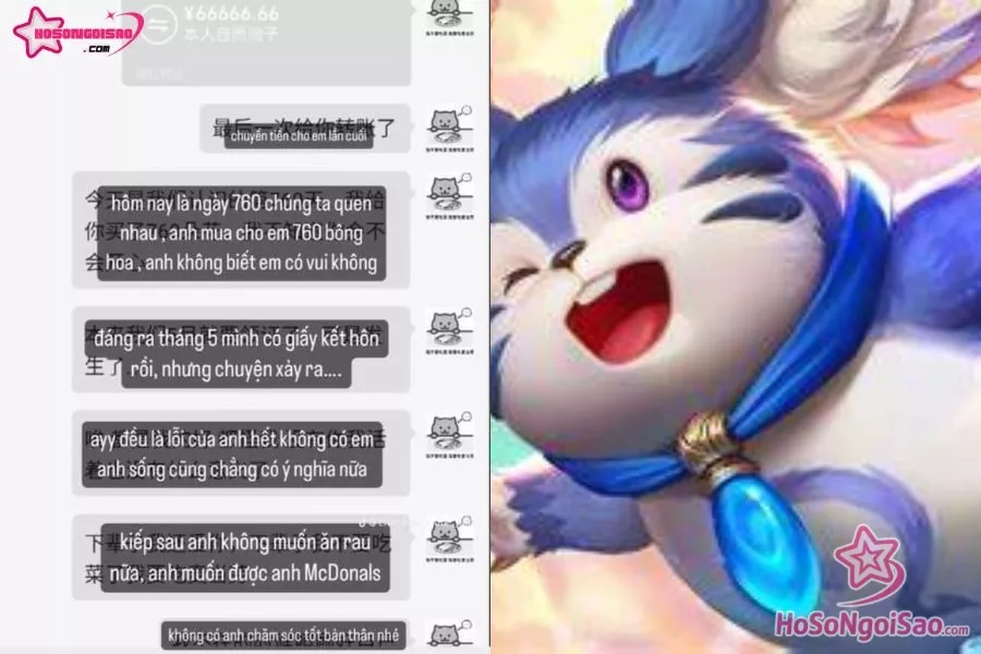 Mèo béo