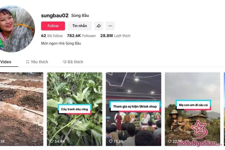 Hiện tại, tố cáo đã được xoá/ ẩn trên kênh TikTok của Sùng Bầu