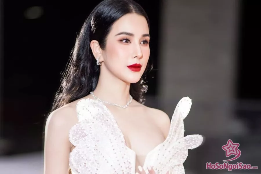 Nhiều người cho rằng Diệp Lâm Anh đang quá cảm tính khi đăng tin lên trang cá nhân của mình về việc xét nghiệm ADN 