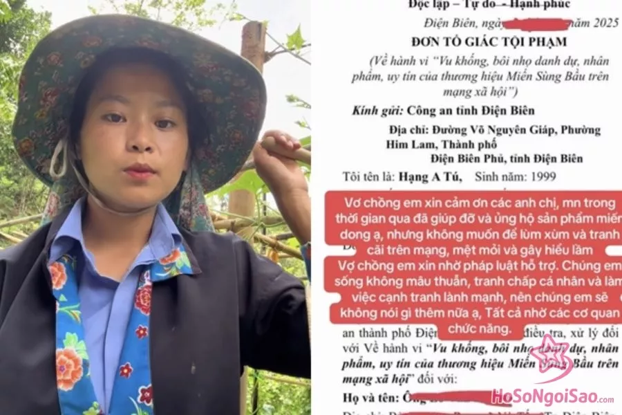 Sùng Bầu từng đăng tải clip đính chính, đơn tố cáo.