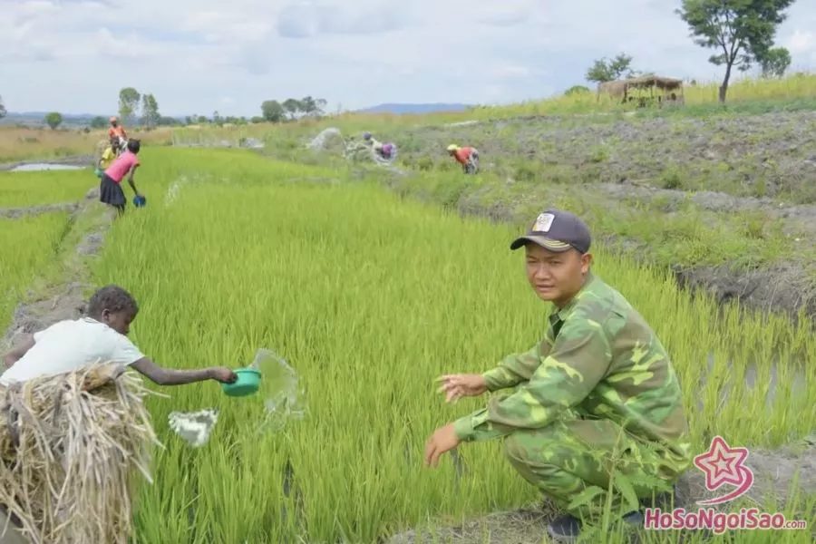 Anh Thế cho biết khó khăn về đất đai hay thời tiết không tốt dẫn đến cây lúa không phát triển như mong đợi.