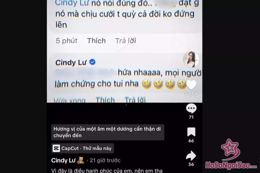 Cindy Lư không ngần ngại phản pháo khi một cư dân mạng để lại bình luận tiêu cực