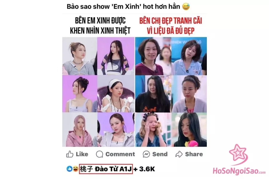 Cư dân mạng chụp màn hình nghi Đào Tử A1J tương tác bài đăng "dìm hàng" Chị Đẹp