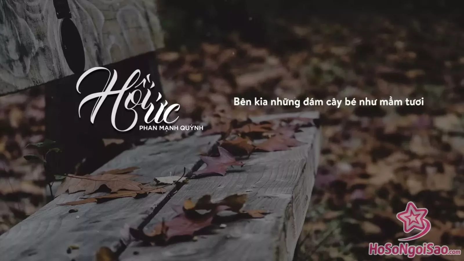 Hồi Ức – Phan Mạnh Quỳnh | AUDIO LYRIC OFFICIAL