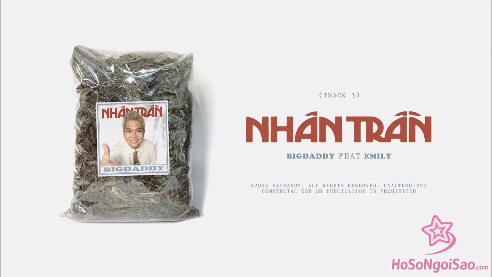 Nhân Trần – BigDaddy ft. EMILY | VISUALIZER VIDEO