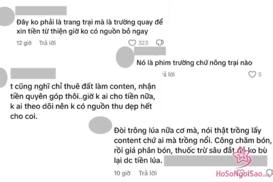 Rất nhiều bình luận cho rằng trang trại của Quang Linh Vlogs chỉ là phim trường