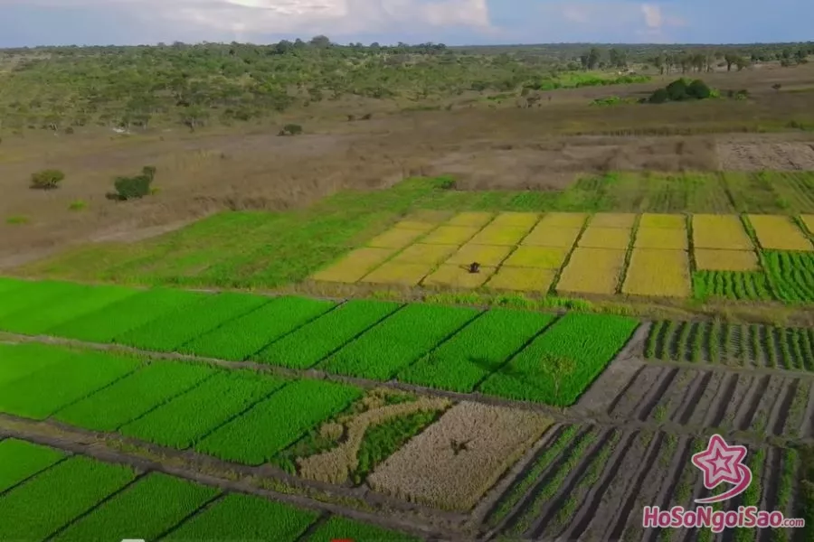 Trang trại của Quang Linh Vlogs ở Angola bị nghi làm giả