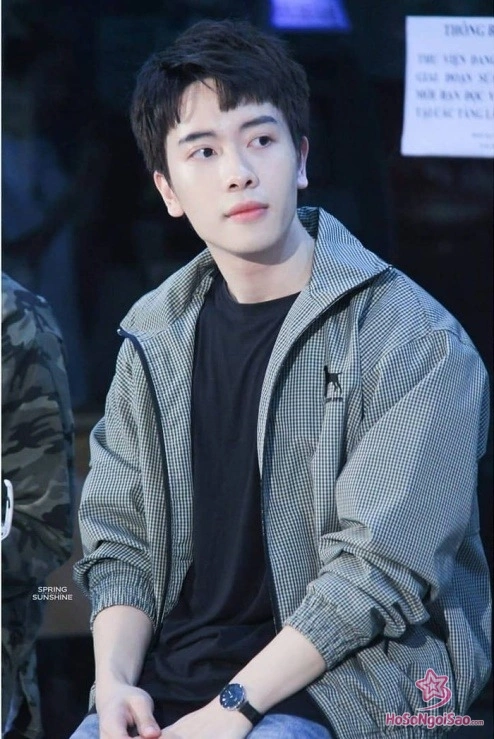 Ca sĩ, nhạc sĩ, rapper, vũ công, diễn viên, MC, VJ