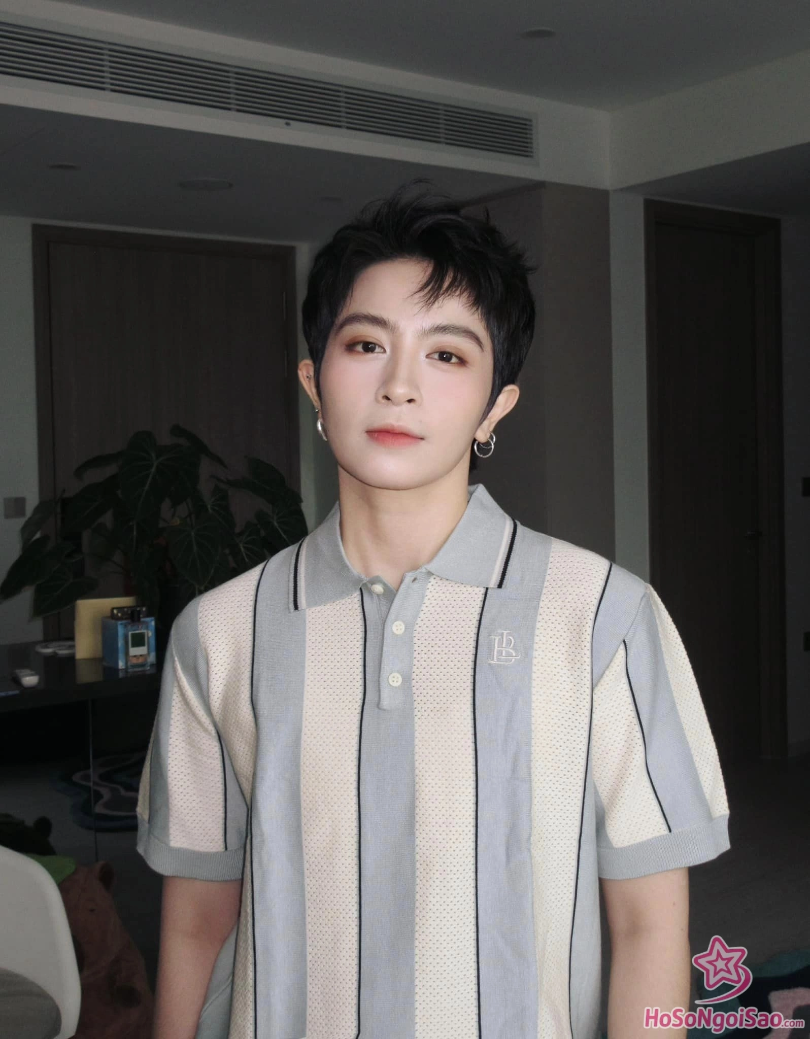 Ca sĩ, MC, diễn viên        