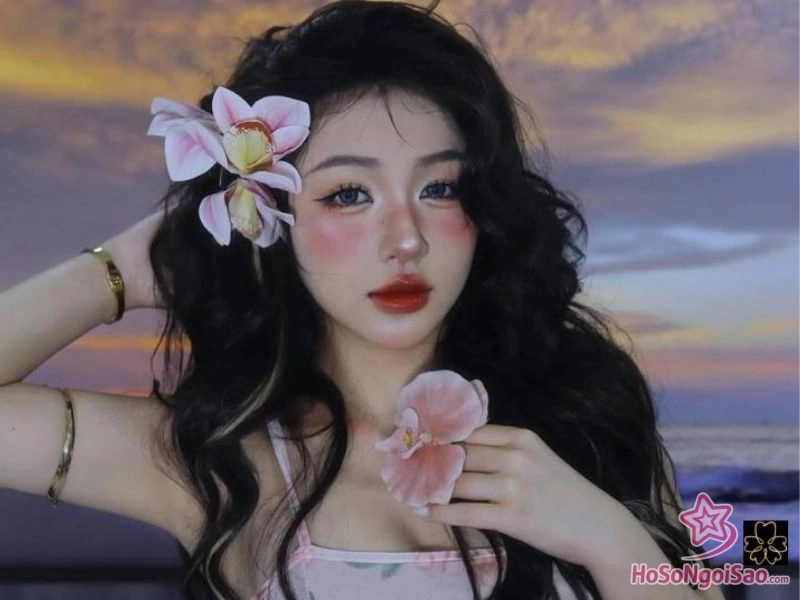 Giới thiệu tổng quan về Trần Hà Linh