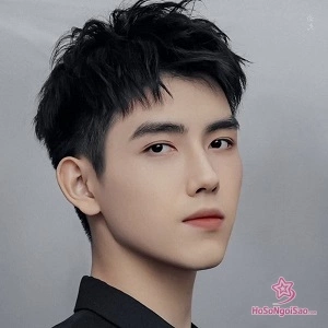 Trần Phi Vũ Và Hành Trình Thoát Khỏi “Cái Bóng” Trần Khải Ca