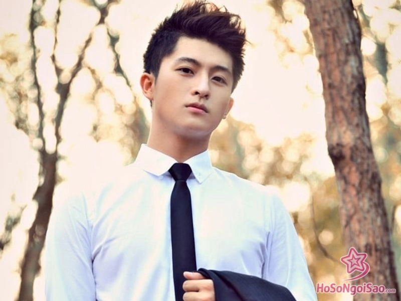 thong tin ca nhan va tieu su cua harry lu Harry Lu: Hành Trình Hồi Sinh Kỳ Diệu Của "Nam Thần" Thông Tin Cá Nhân Và Tiểu Sử Của Harry Lu