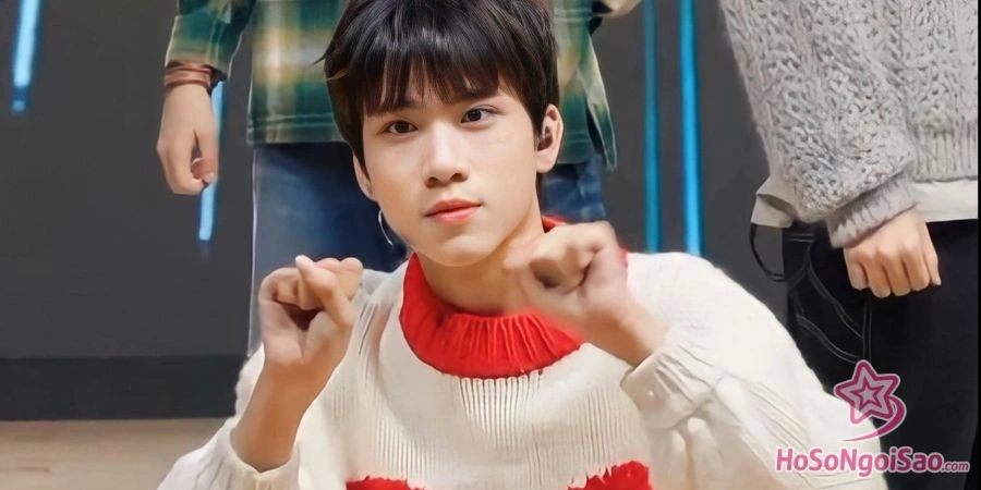 nhung uu diem va thach thuc cua do nam son tai thi truong kpop Đỗ Nam Sơn Là Ai? Hành Trình Chinh Phục Kpop Của Em Út Nhóm PICKUS Những ưu điểm và thách thức của Đỗ Nam Sơn tại thị trường Kpop