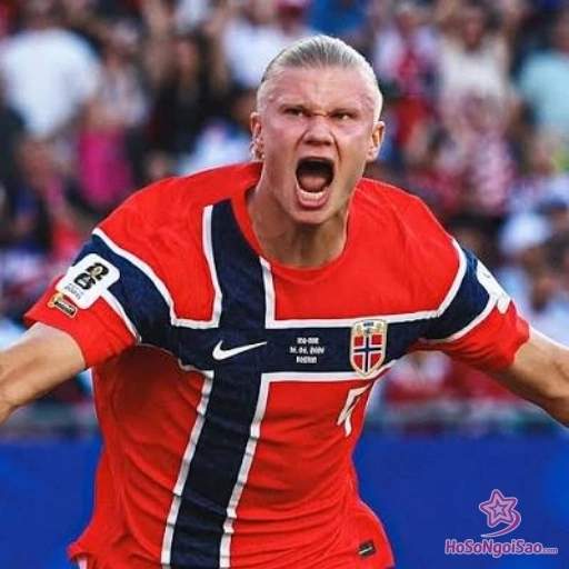 Erling Haaland là ai? Profile và hành trình sự nghiệp mới nhất